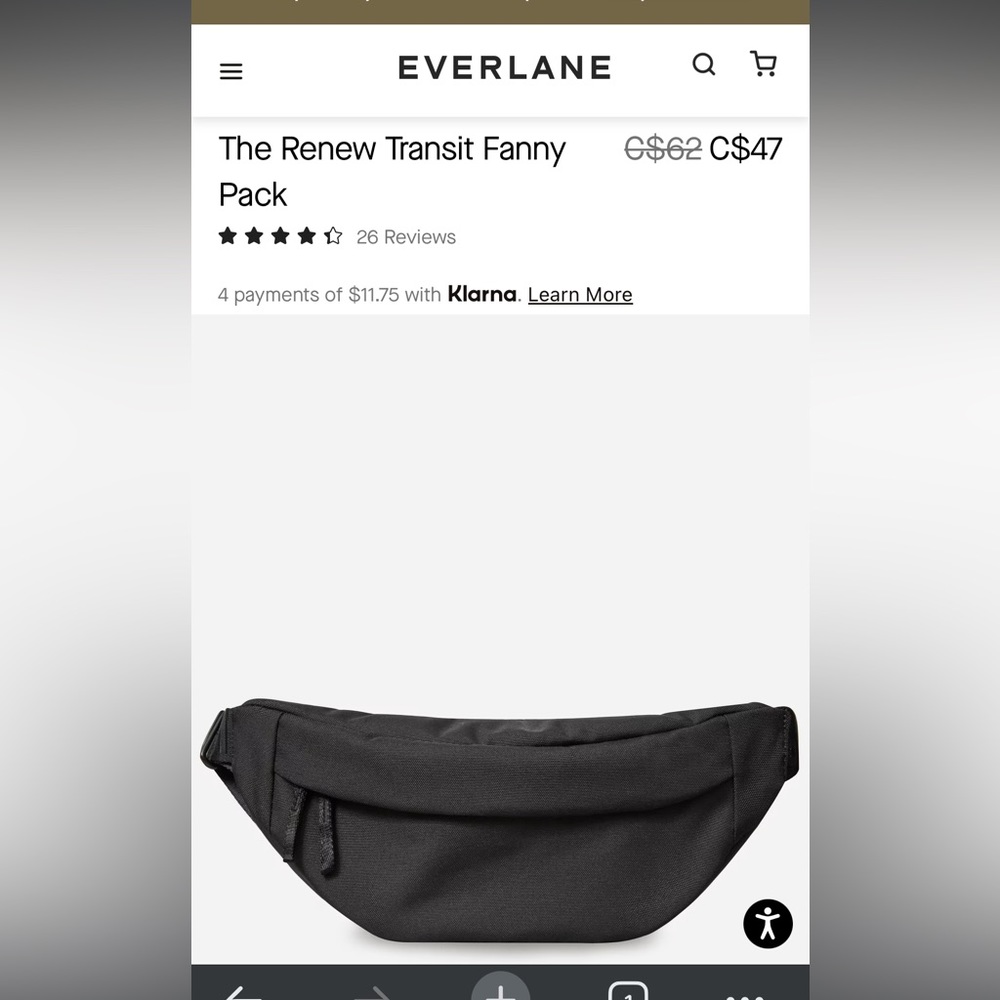 Everlane The Renew Transit Fanny Pack